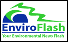 EnviroFlash Logo